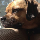 Kelly O'Keefe's photo