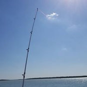 Colin MacLean's photo