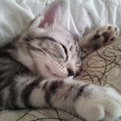Foto de Sarah Cretch
