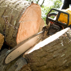 USA Tree Services LLC