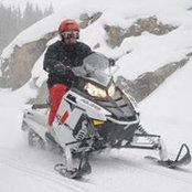 David Williams's photo