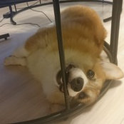 Foto de YUYU