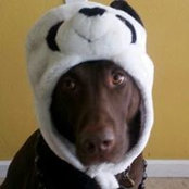 Dayna Russell's photo