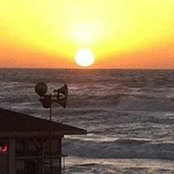Aviv Atias's photo