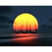 نور الشمس's photo