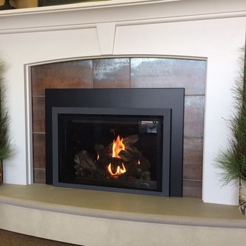 Mendota fireplaces and inserts