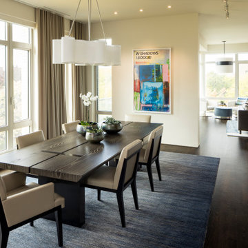 Karmin Schwartz Old Town Condo