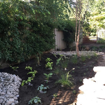 Woodland Garden Design Install