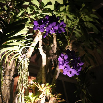 Landscape Lighting on the Beach