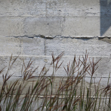 Compo Beach