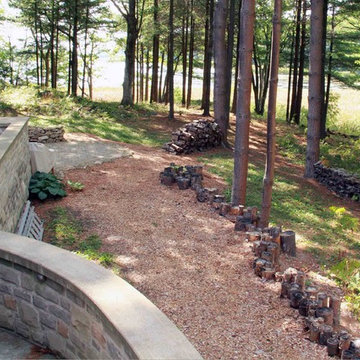 Naturalized Forest Setting