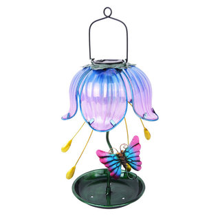 Fly Fusion Butterfly Champagne Flute