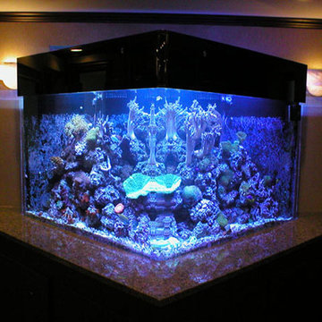 Custom Acrylic Aquariums and Aquarium Filtration Systems in Connecticut