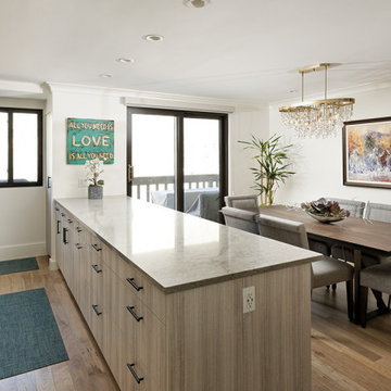 Aspen Eclectic Condo