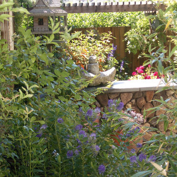 Glimpse of the garden beyone