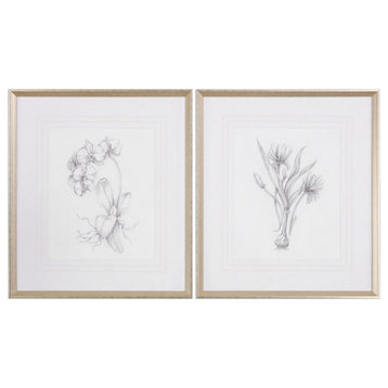 Uttermost 33649 Botanical Sketches - 32 inch Framed Print (Set of 2) - 28 inches