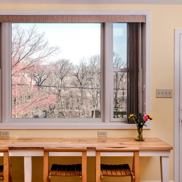 Downtown Wilmington Kitchen Addition with Character