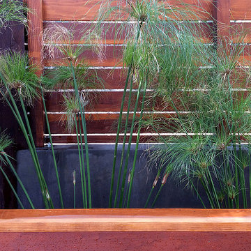 Redwood Planter with Colored Concrete Back