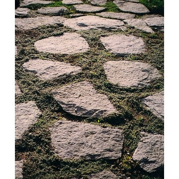 Stone