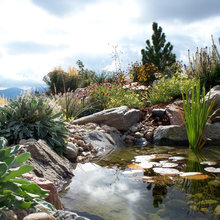 Water Features