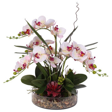 Pink Cream Silk Phalaenopsis Orchid & Succulents with Pebbles in a Glass Bowl