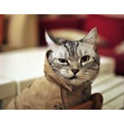 Alexander Ugol's photo