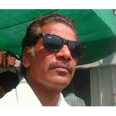 Raja