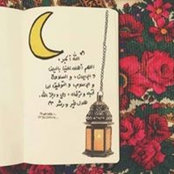 Salma Hamdy's photo