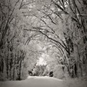 Lori MacLennanさんの写真