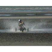 Philippe Surkyn's photo