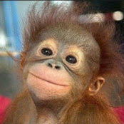 Photo de Dave Wollenzien