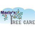 Marios Tree Care Louisville's profile photo