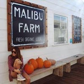 Hanna Hullender's photo