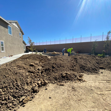New Backyard Design and built