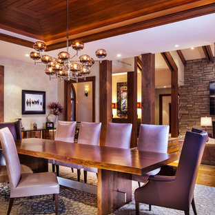 デンバーの広いラスティックスタイルのLDKの画像 (白い壁、カーペット敷き、茶色い床、暖炉なし)