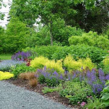 Deer Resistant Garden