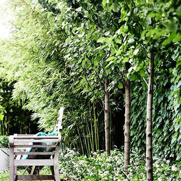 Aust House & Garden Magazine - Work completed by Simon McCurdy Landscapes