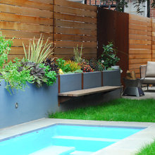 urban backyard