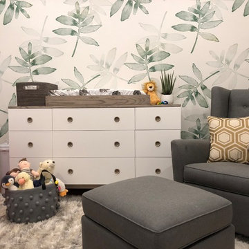 Whimsical Boy's Nursery in Arlington, VA