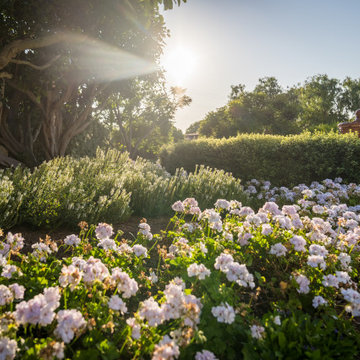 Rancho Santa Fe, Parterre Gardens