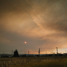 How to Help People and Wildlife Affected by Bushfires