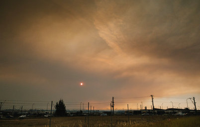 How to Help People and Wildlife Affected by Bushfires