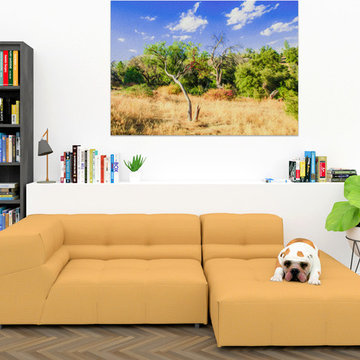 "A Place of Serenity III" Fine Art Landscape Acrylic Print