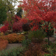 Ideas for Costilla Landscaping