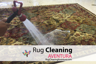 Rug Cleaning Service Aventura