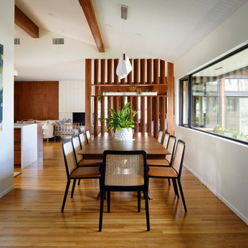 Midcentury Interior Remodel