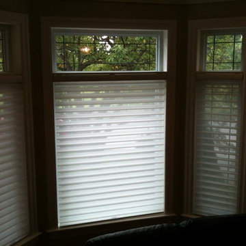 Hunter Douglas Silhouettes Bay Window