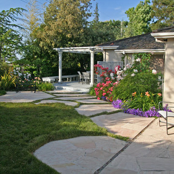 Carex Pansa: The natural lawn
