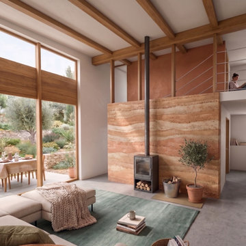 Maison bois et mur de masse en terre