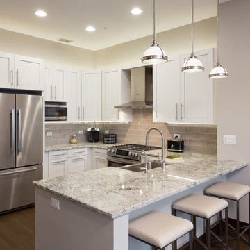 Gold Coast Chicago Kitchen Design & Remodel